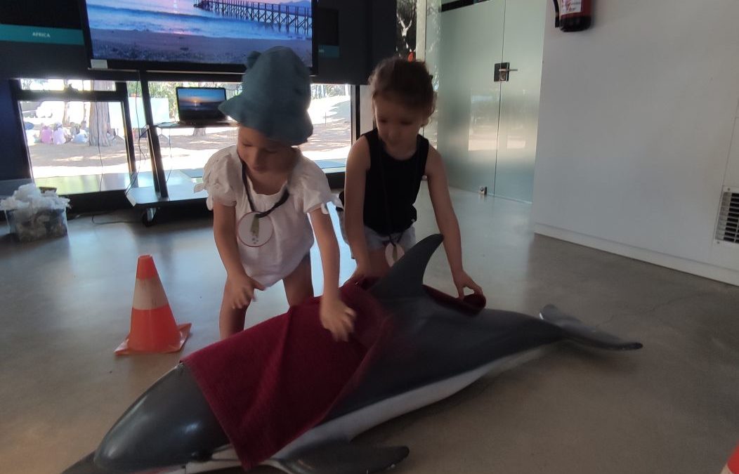 Salvem el dofí